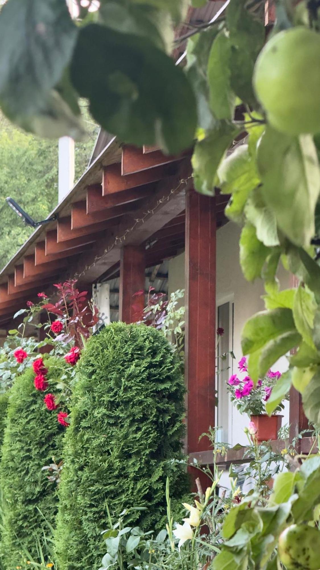 Dacha Podobovets 127 Hotel Exterior foto
